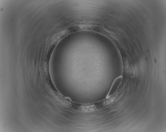 X0000068820571200605051214