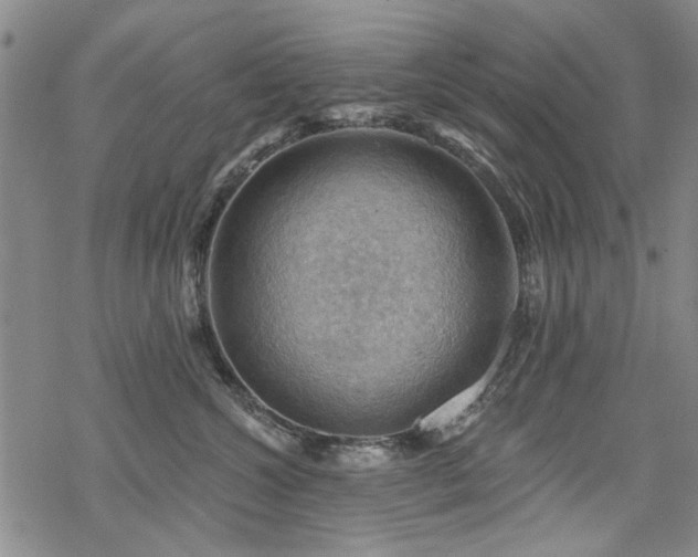 X0000068820572200605051214