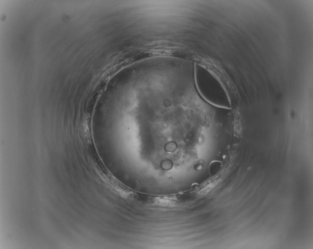 X0000068820573200605051214