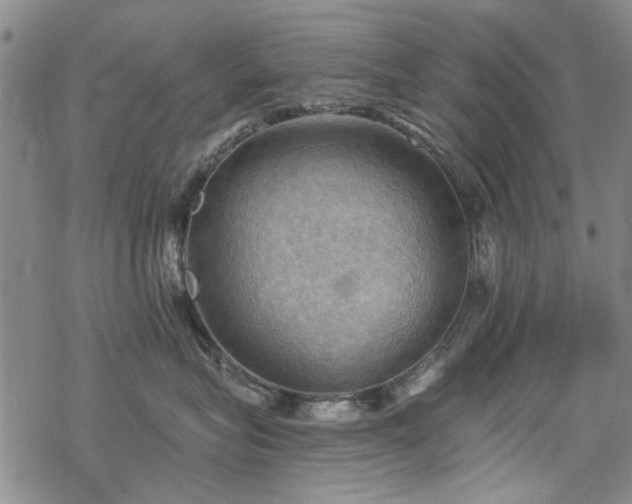 X0000068820575200605051214