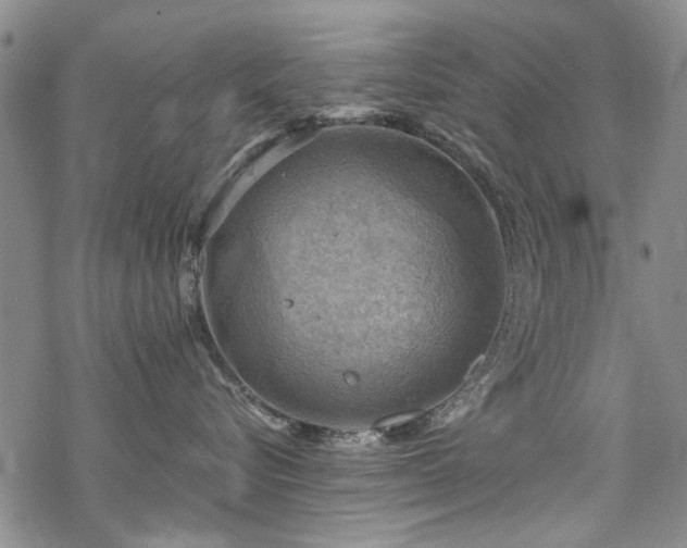 X0000068820576200605051214