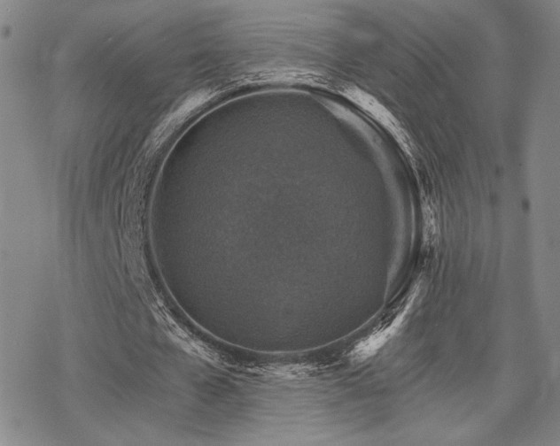 X0000068820577200605051213