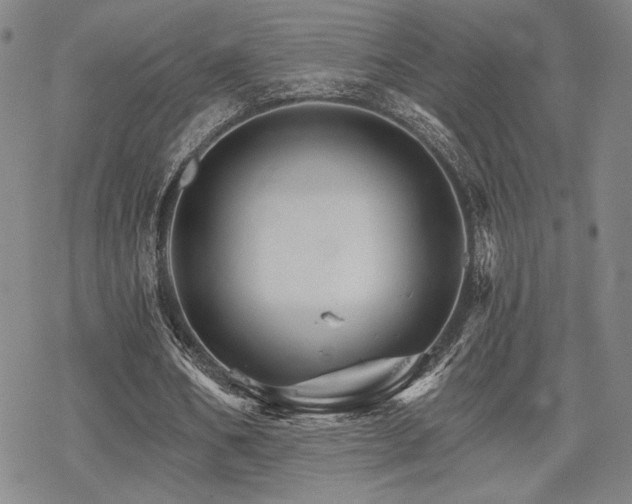 X0000068820578200605051213