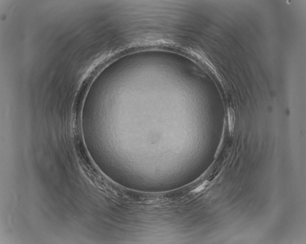 X0000068820579200605051213