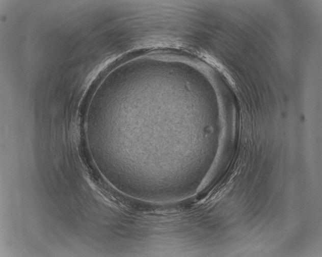 X0000068820580200605051213