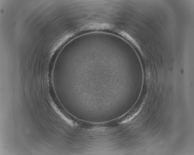 X0000068820581200605051213