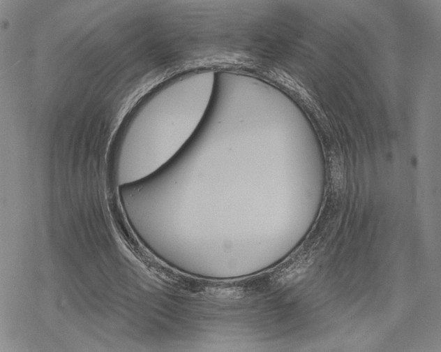 X0000068820582200605051213