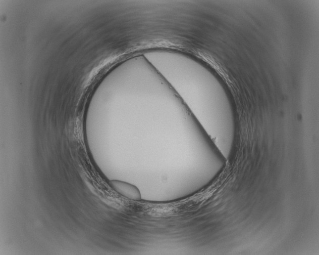 X0000068820583200605051213