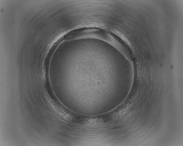 X0000068820584200605051213