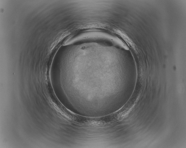 X0000068820585200605051213