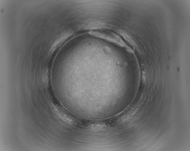 X0000068820586200605051213