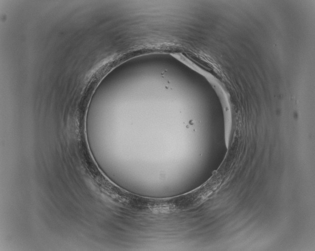 X0000068820587200605051213