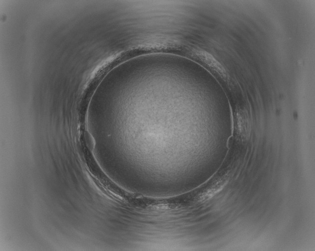 X0000068820588200605051213