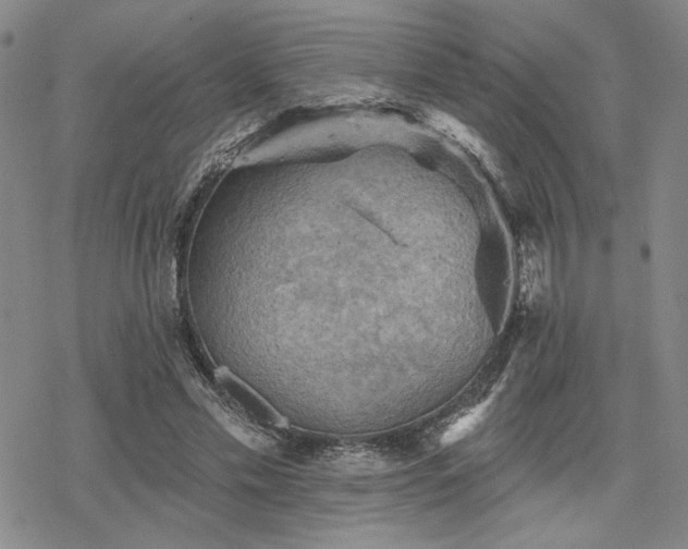 X0000068820589200605051213