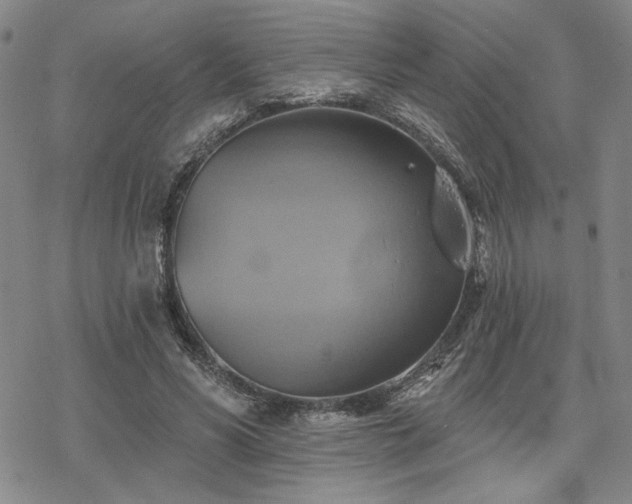 X0000068820590200605051213