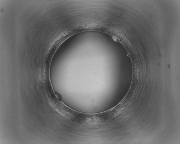 X0000068820591200605051213