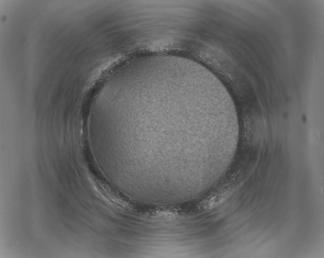 X0000068820592200605051213