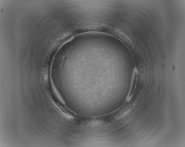 X0000068820593200605051213