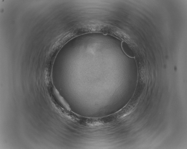 X0000068820594200605051213