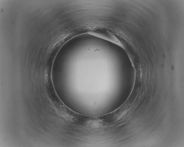 X0000068820595200605051213