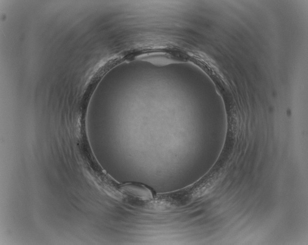 X0000068820596200605051213