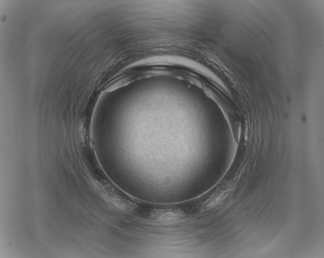 X0000068820597200605051213