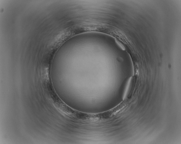 X0000068820598200605051212