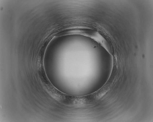 X0000068820599200605051212