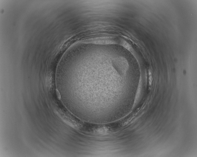 X0000068820600200605051212