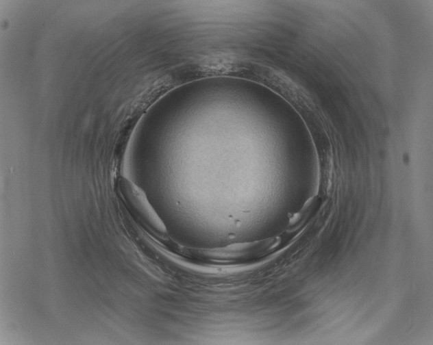 X0000068820601200605051212