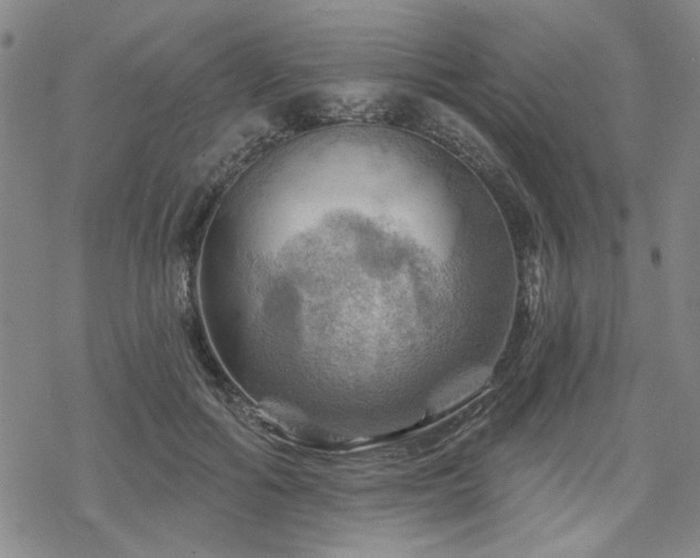 X0000068820602200605051212