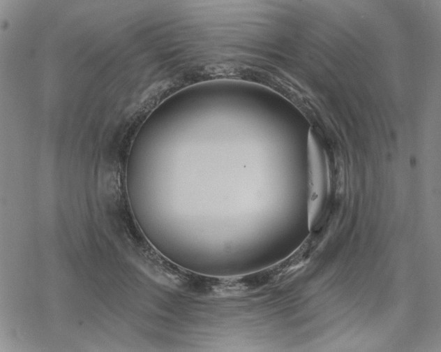 X0000068820603200605051212