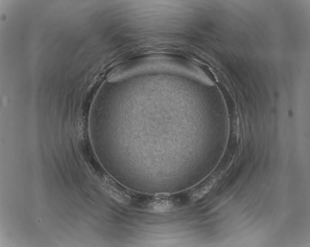 X0000068820604200605051212