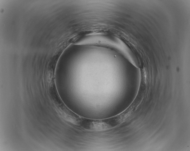 X0000068820605200605051212