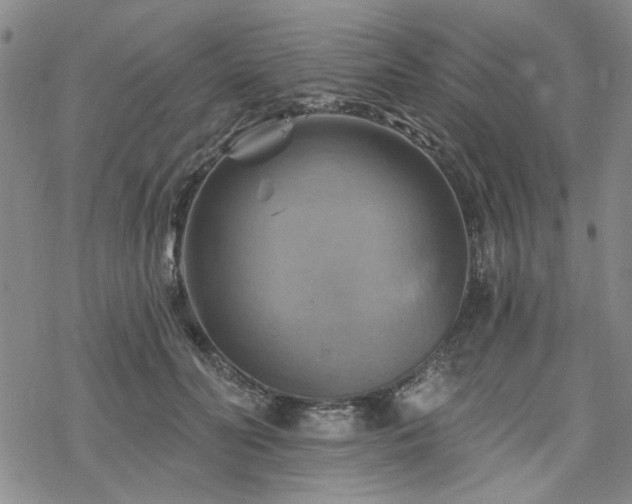 X0000068820606200605051212