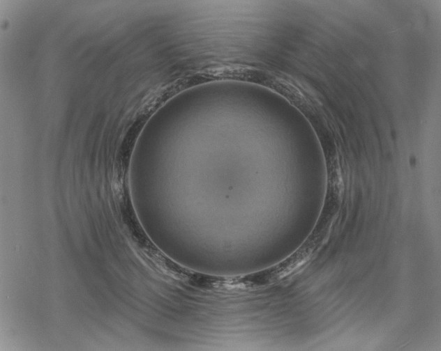 X0000068820607200605051212