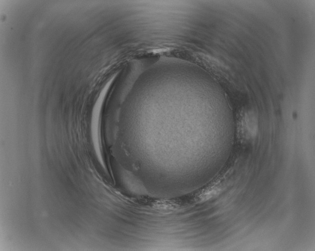 X0000068820608200605051212