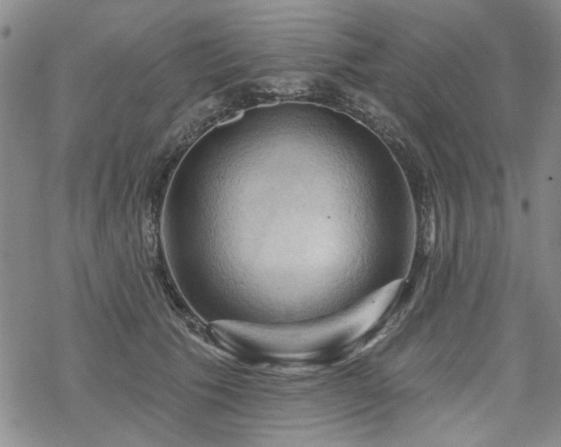 X0000068820609200605051212