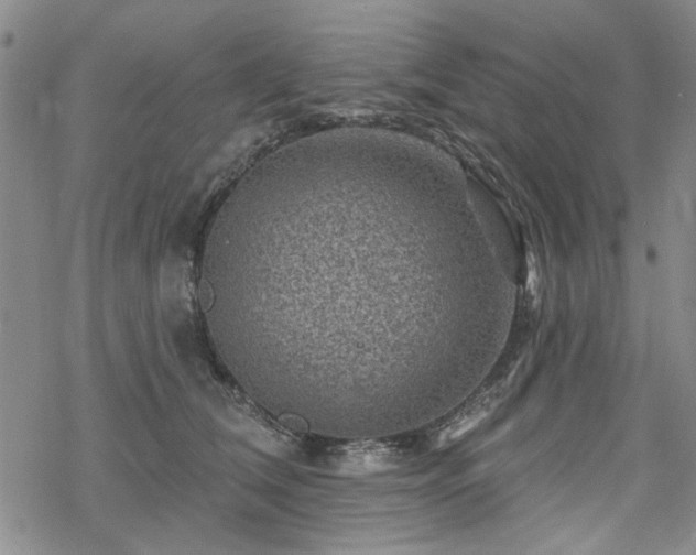 X0000068820612200605051212