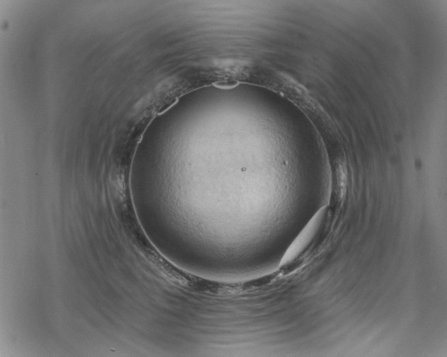 X0000068820613200605051212