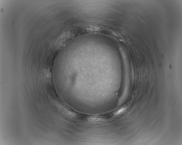 X0000068820614200605051212