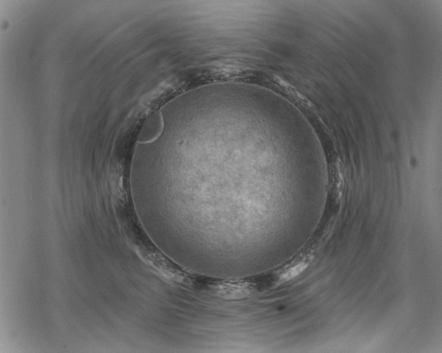 X0000068820615200605051212