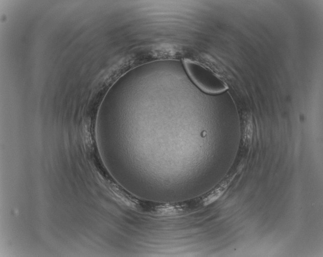 X0000068820616200605051212