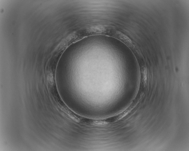 X0000068820617200605051212