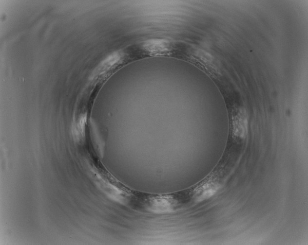 X0000068820618200605051212