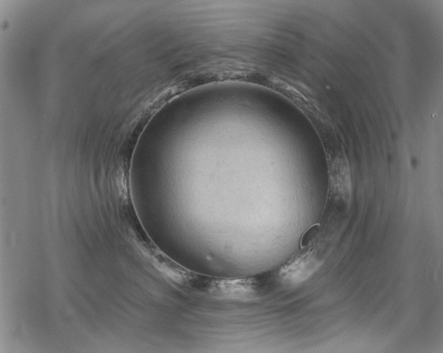 X0000068820622200605051212