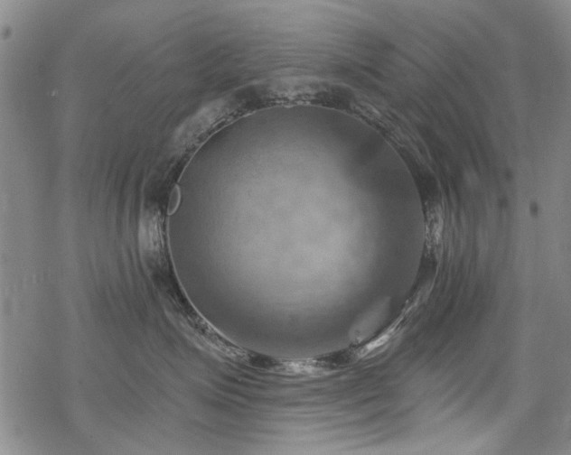 X0000068820623200605051212