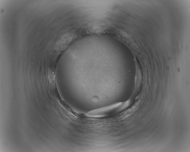 X0000068820624200605051212