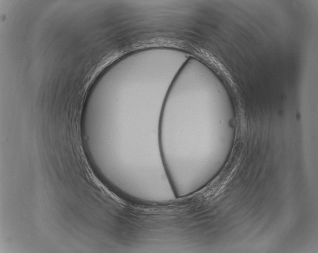 X0000068820625200605051211