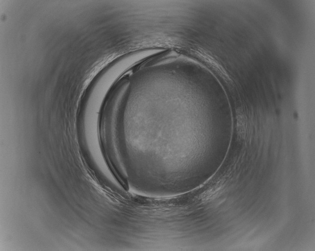 X0000068820626200605051211